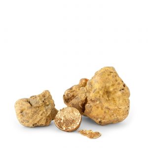 10 Reasons Why White Truffles Are So Expensive! - The Real Truffle Hunters Ltd